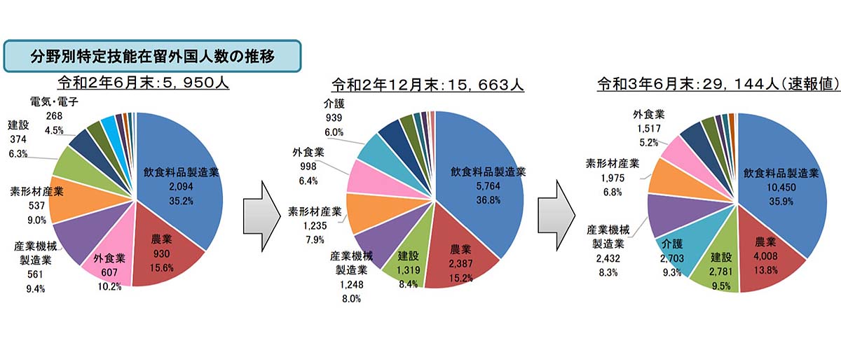 分野別特定技能在留外国人数の推移グラフ