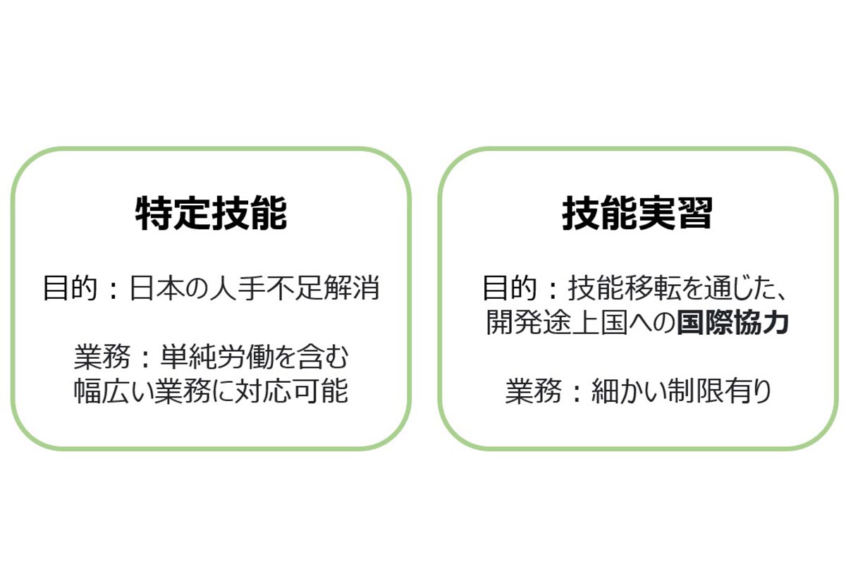 特定技能と技能実習の違い(目的・業務)