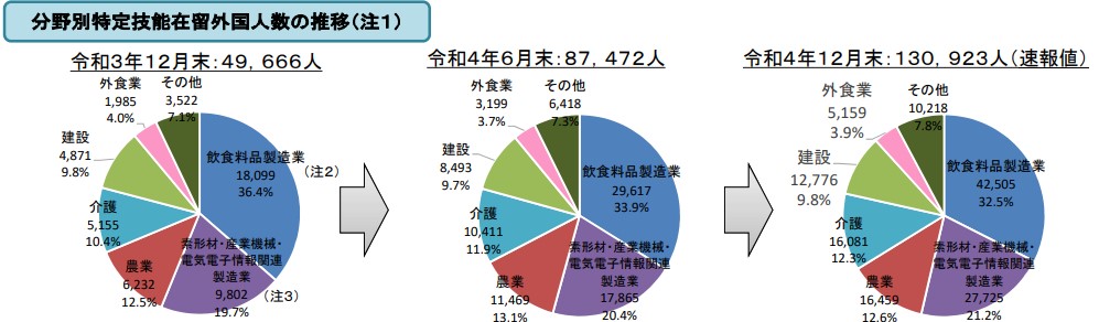 分野別特定技能外国人数の推移