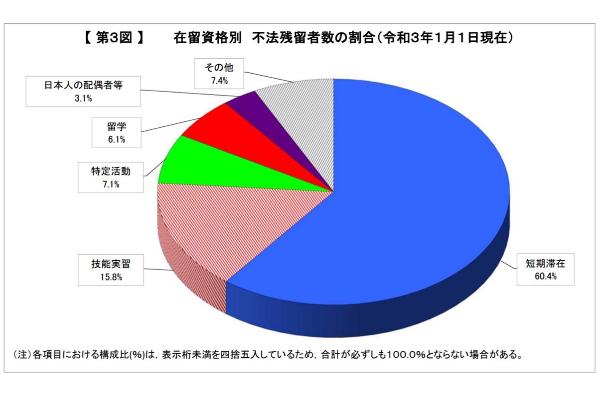 在留資格別 不法在留者数の割合 グラフ